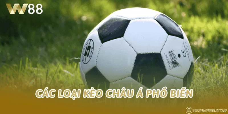 Các loại kèo châu Á phổ biến