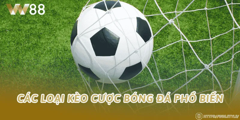 Các loại kèo cược bóng đá phổ biến