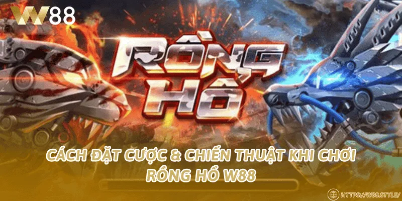 Cách đặt cược & chiến thuật khi chơi Rồng Hổ W88