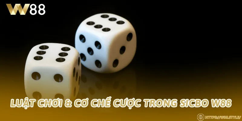 Luật chơi & cơ chế cược trong Sicbo W88