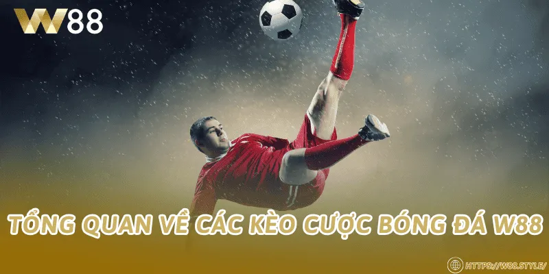 Tổng quan về các kèo cược bóng đá W88