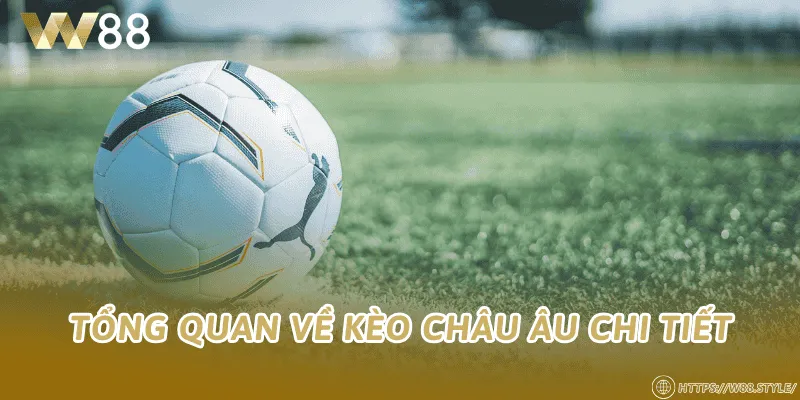 Tổng quan về kèo châu Âu chi tiết